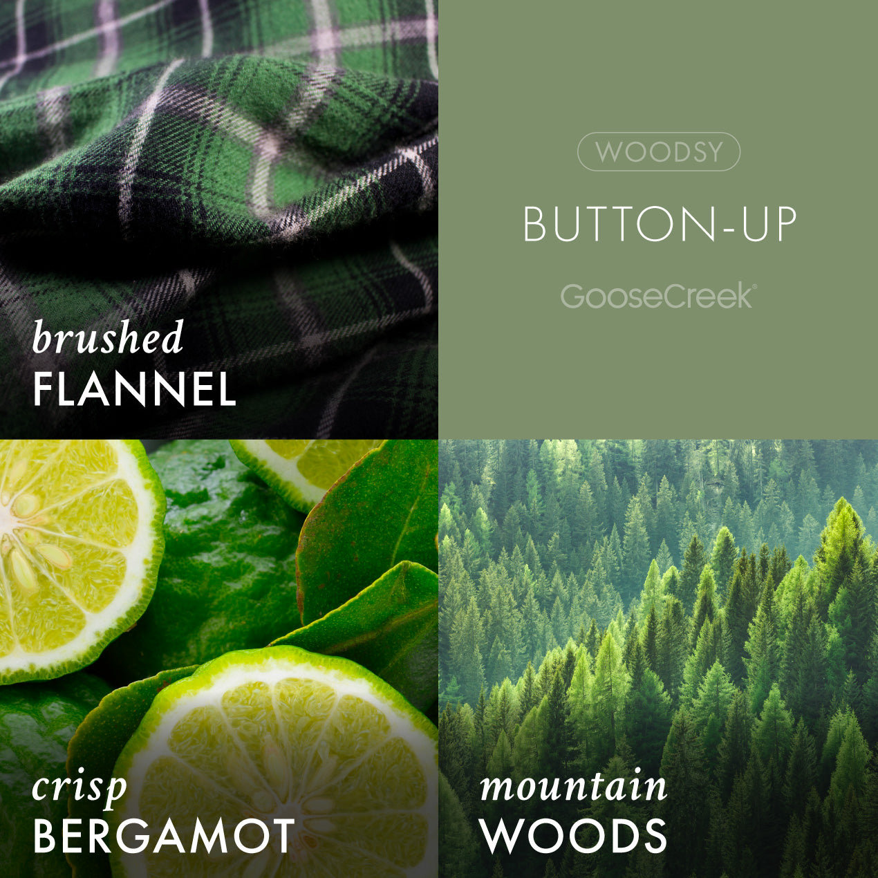 Button-Up Lush Foaming Hand Soap