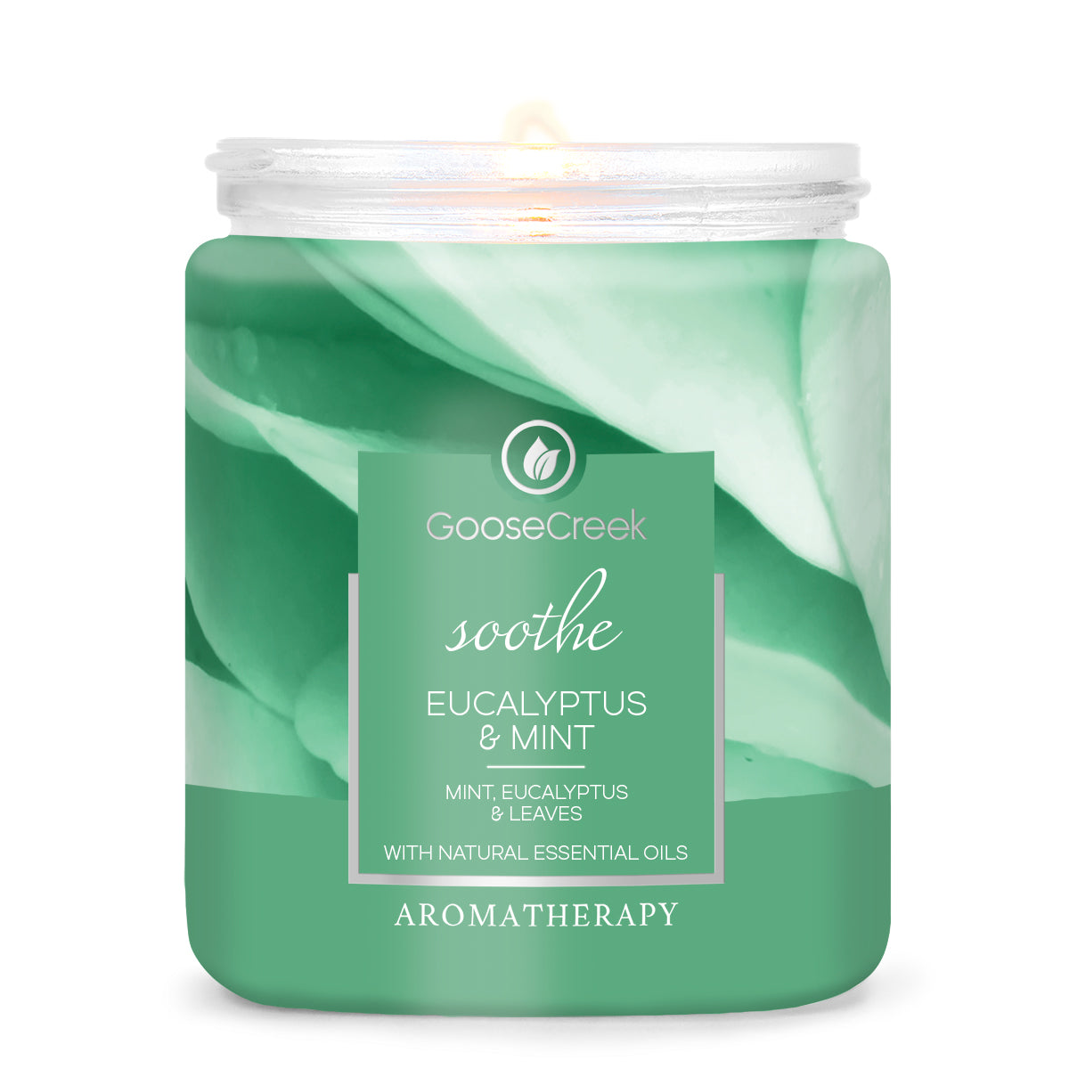 Eucalyptus & Mint 7oz Aromatherapy Single Wick Candle