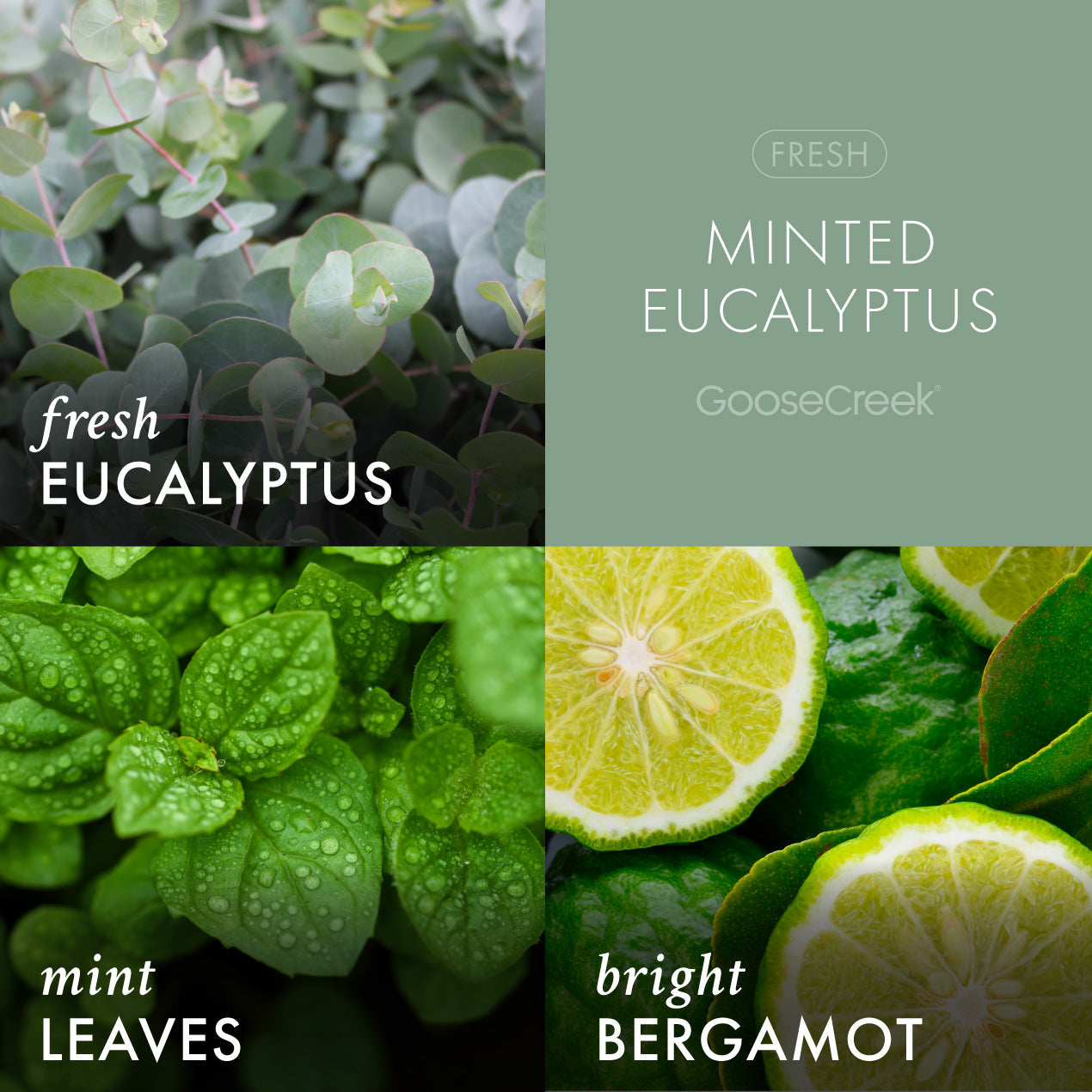 Minted Eucalyptus Room Spray