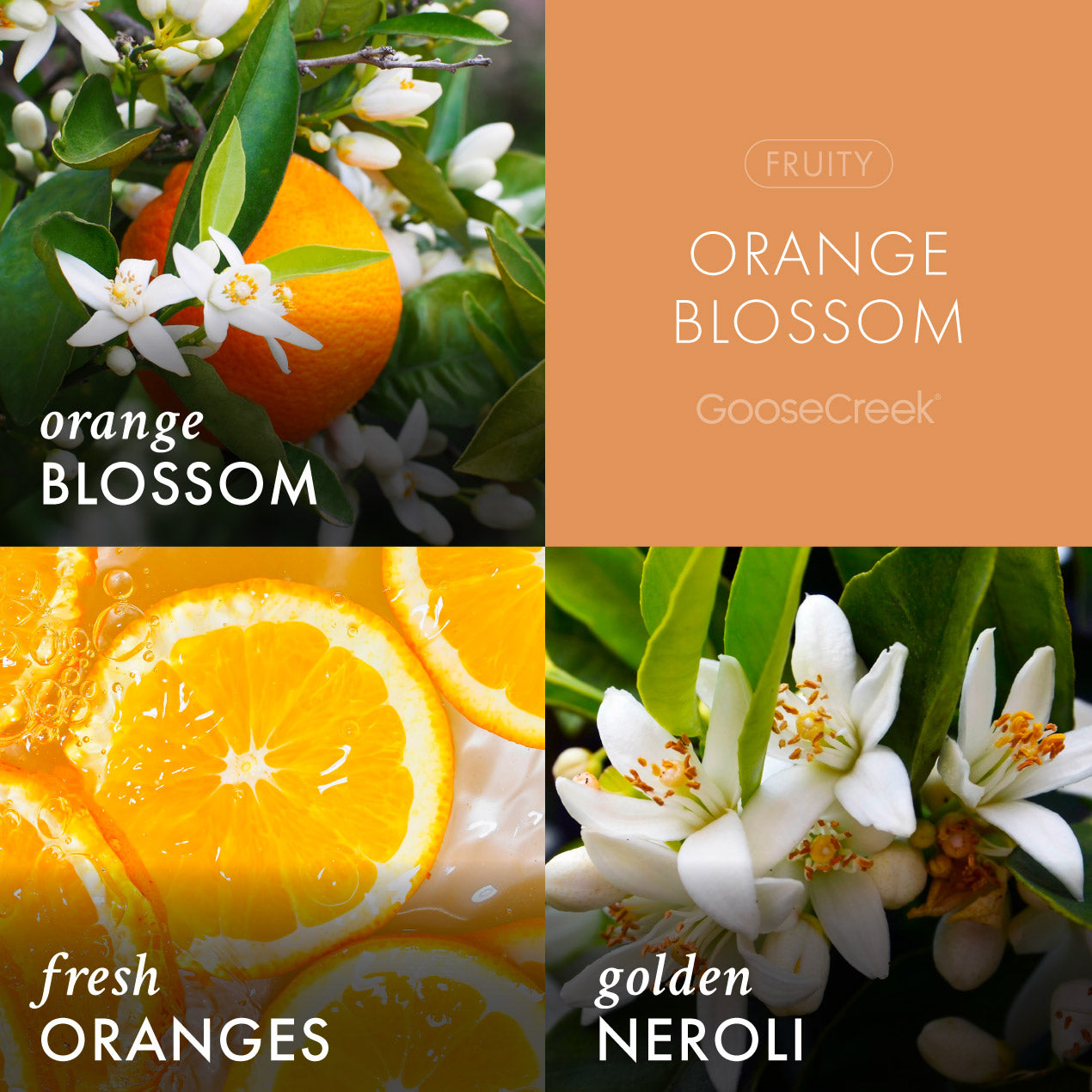 Orange Blossom Wax Melt