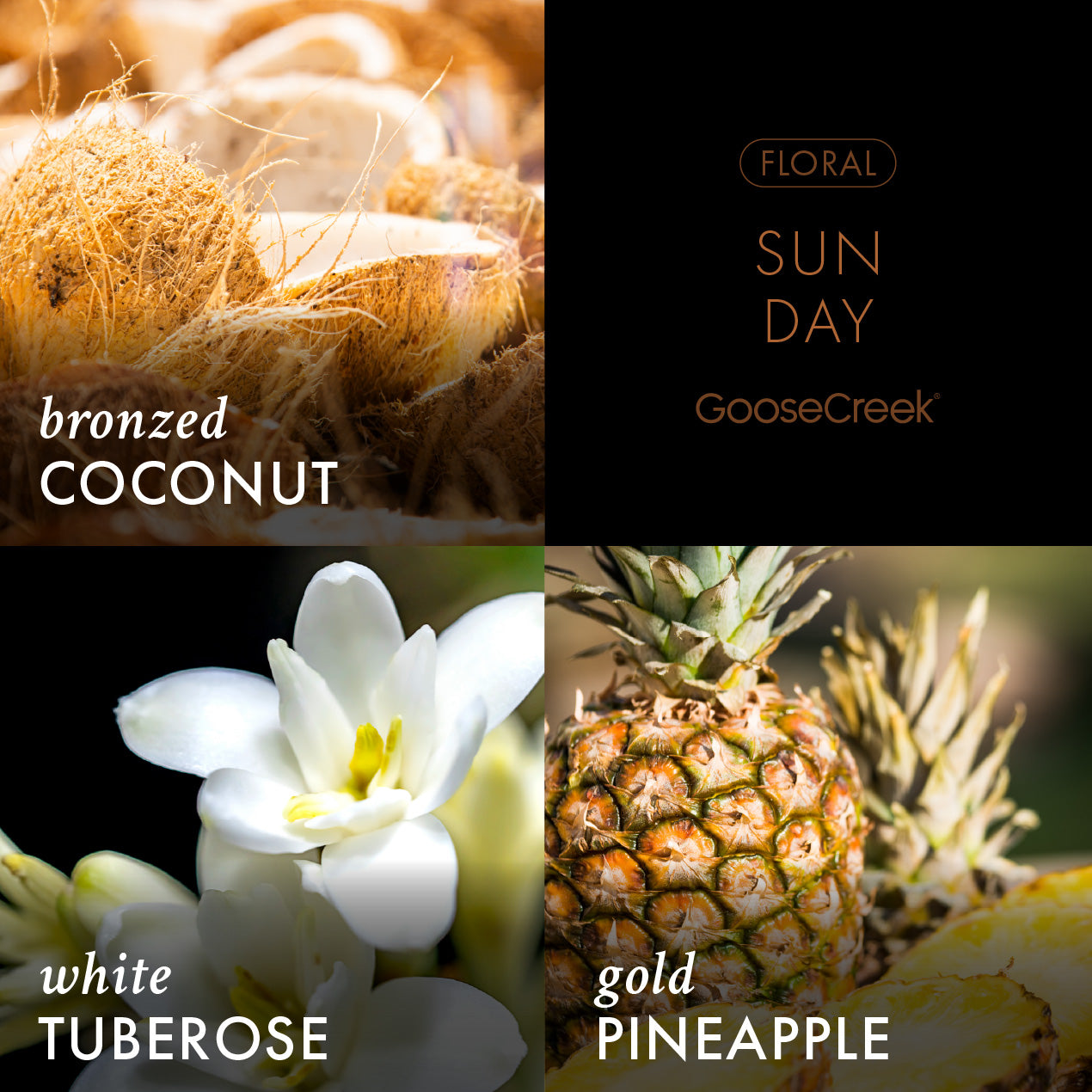 Sun Day - Fine Fragrance Body Mist