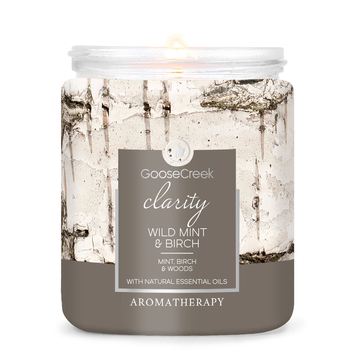 Wild Mint & Birch Aromatherapy 7oz Single Wick Candle