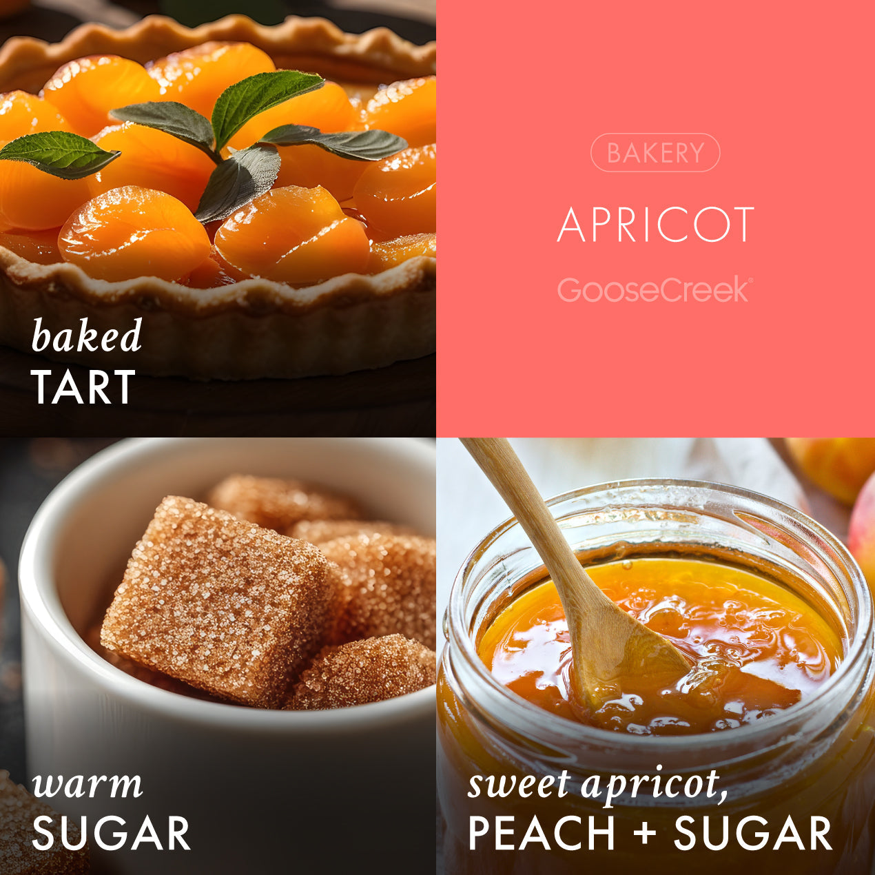 Apricot Strawberry Shortcake 3-Wick Candle