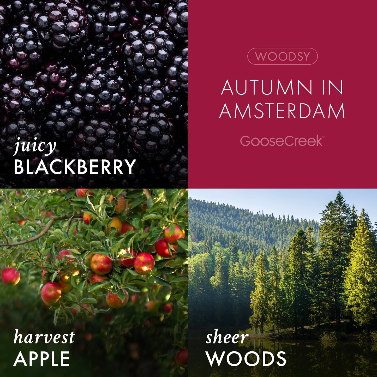 Autumn in Amsterdam 3-Wick Candle