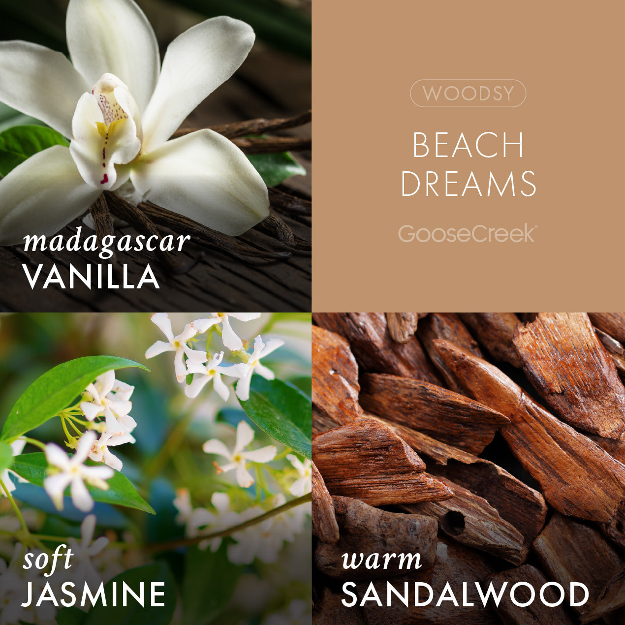 Beach Dreams 3-Wick Candle