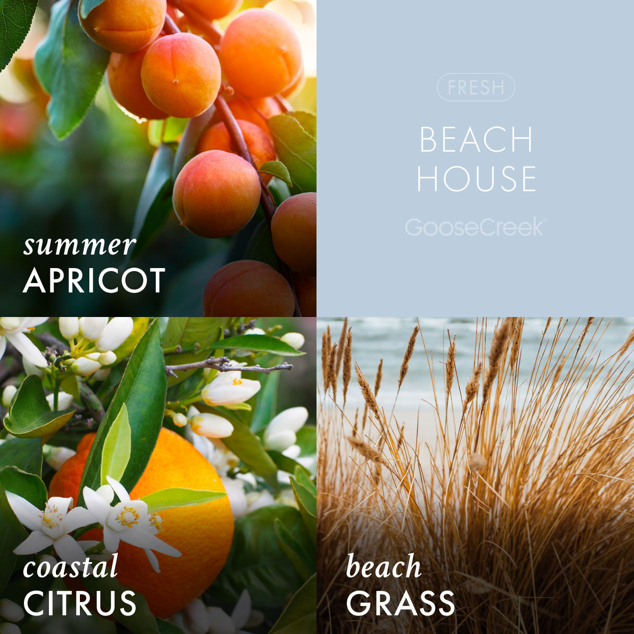 Beach House 3-Wick Candle