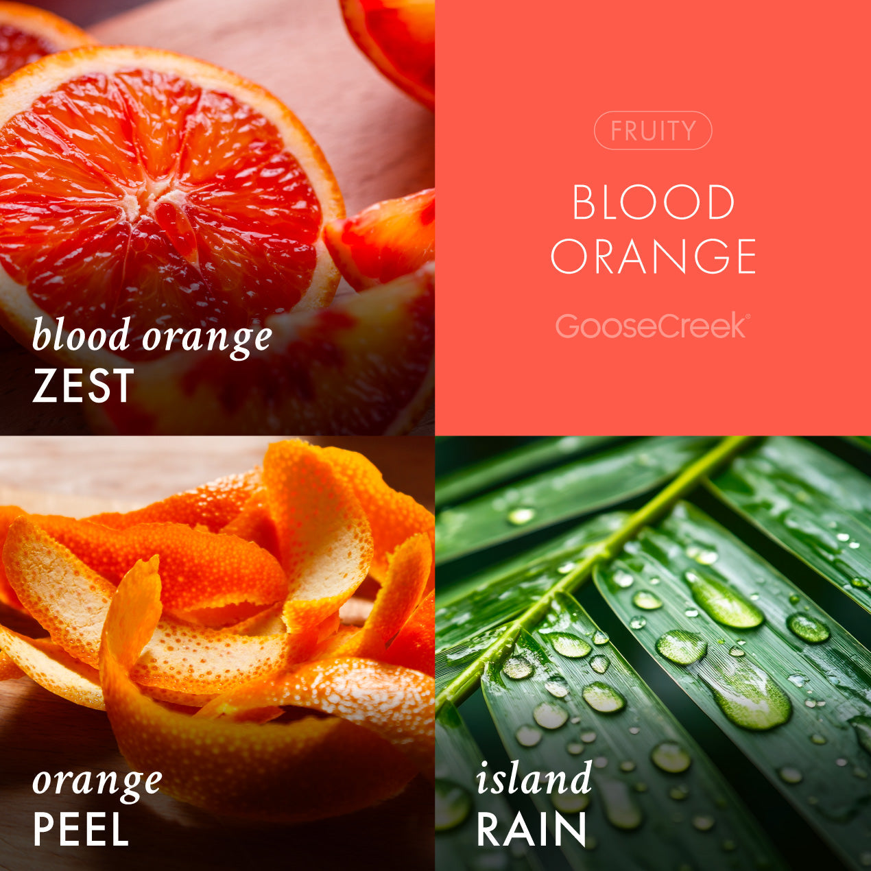 Blood Orange Plug-in Refill