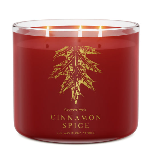 Cinnamon Spice 3-Wick Candle