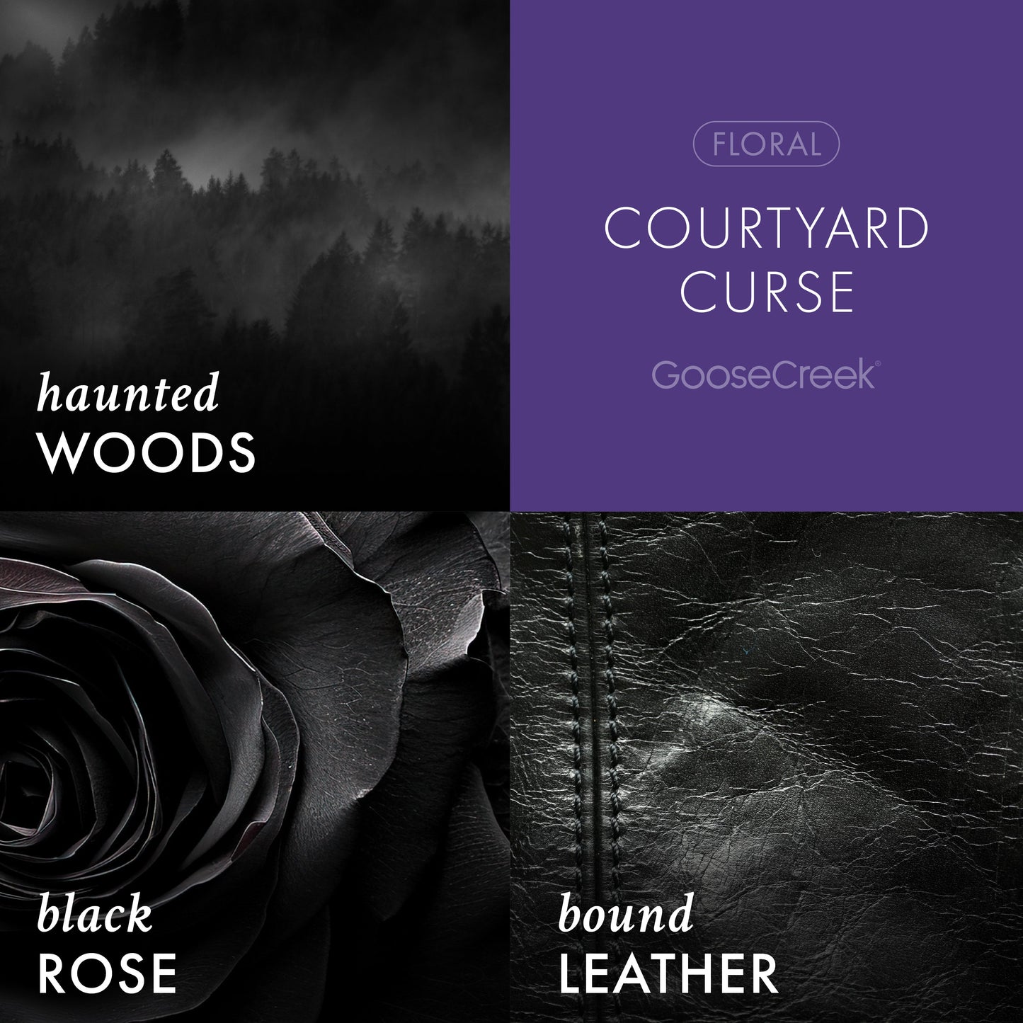 Courtyard Curse 3-Wick Scooby-Doo Candle