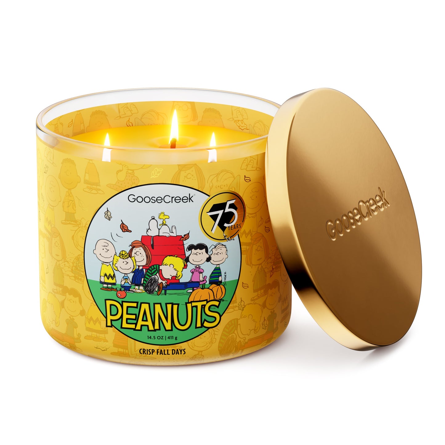 Crisp Fall Days 3-Wick Peanuts Candle