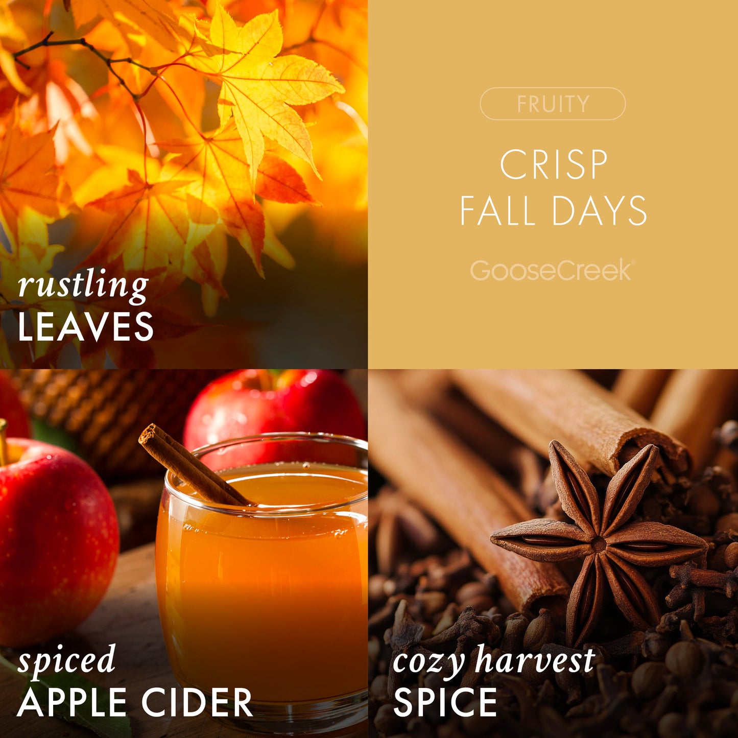 Crisp Fall Days 3-Wick Peanuts Candle