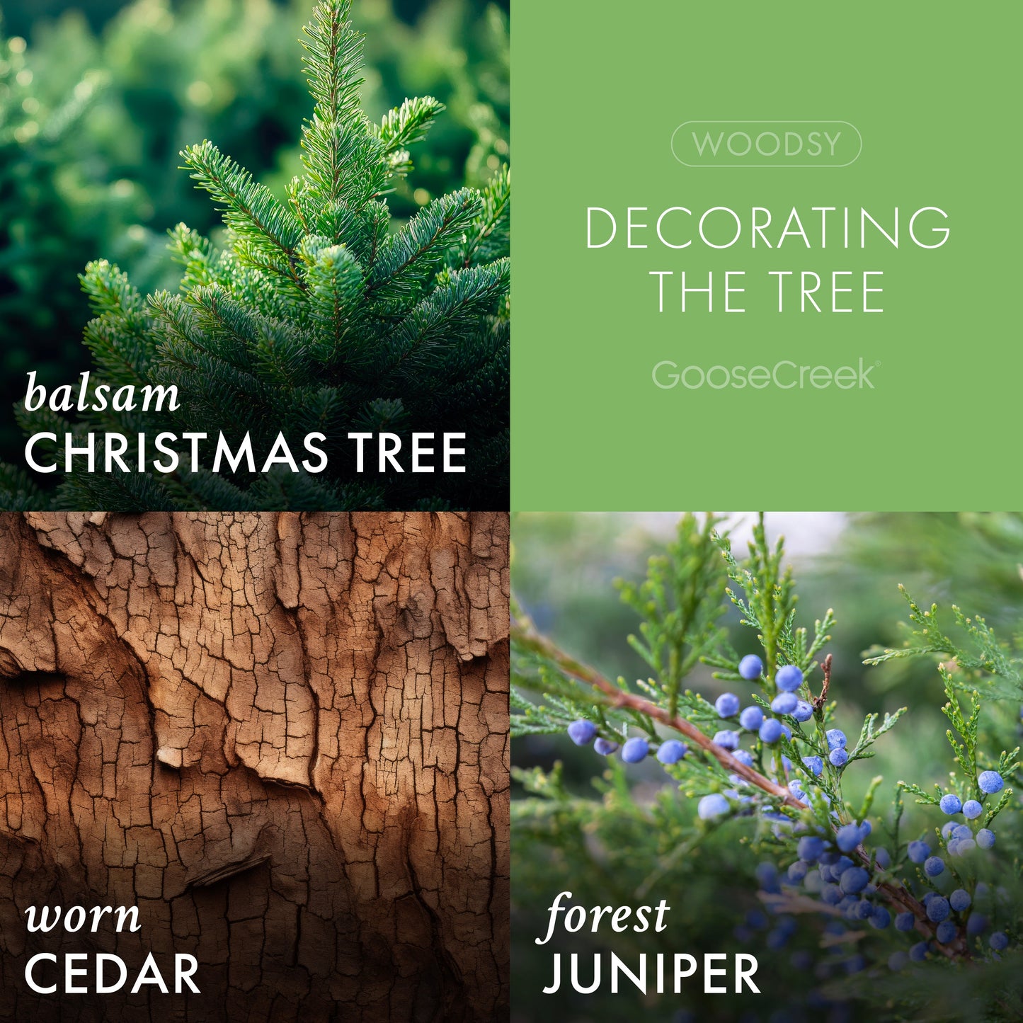 Decorating the Tree 3-Wick Peanuts Candle