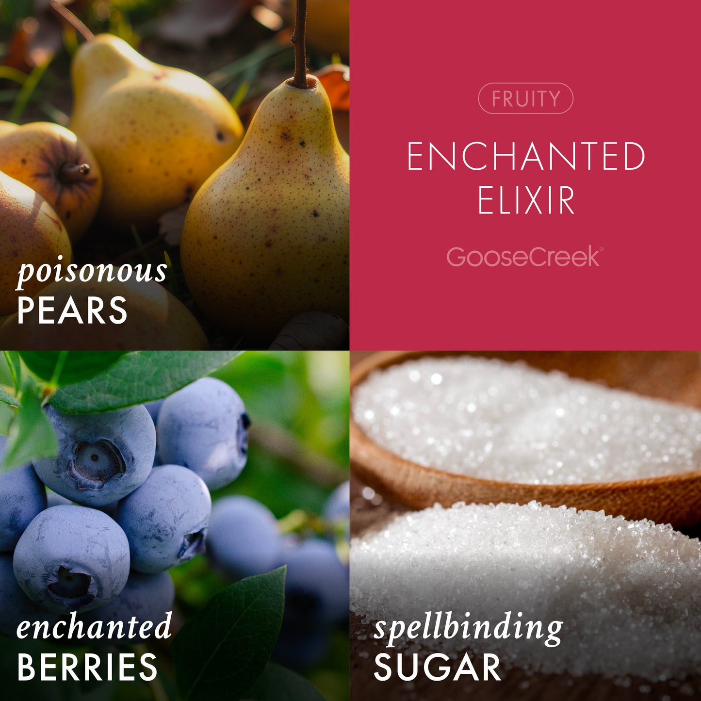 Enchanted Elixir 3-Wick Candle