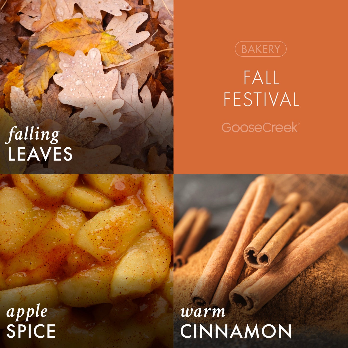 Fall Festival 3-Wick Candle