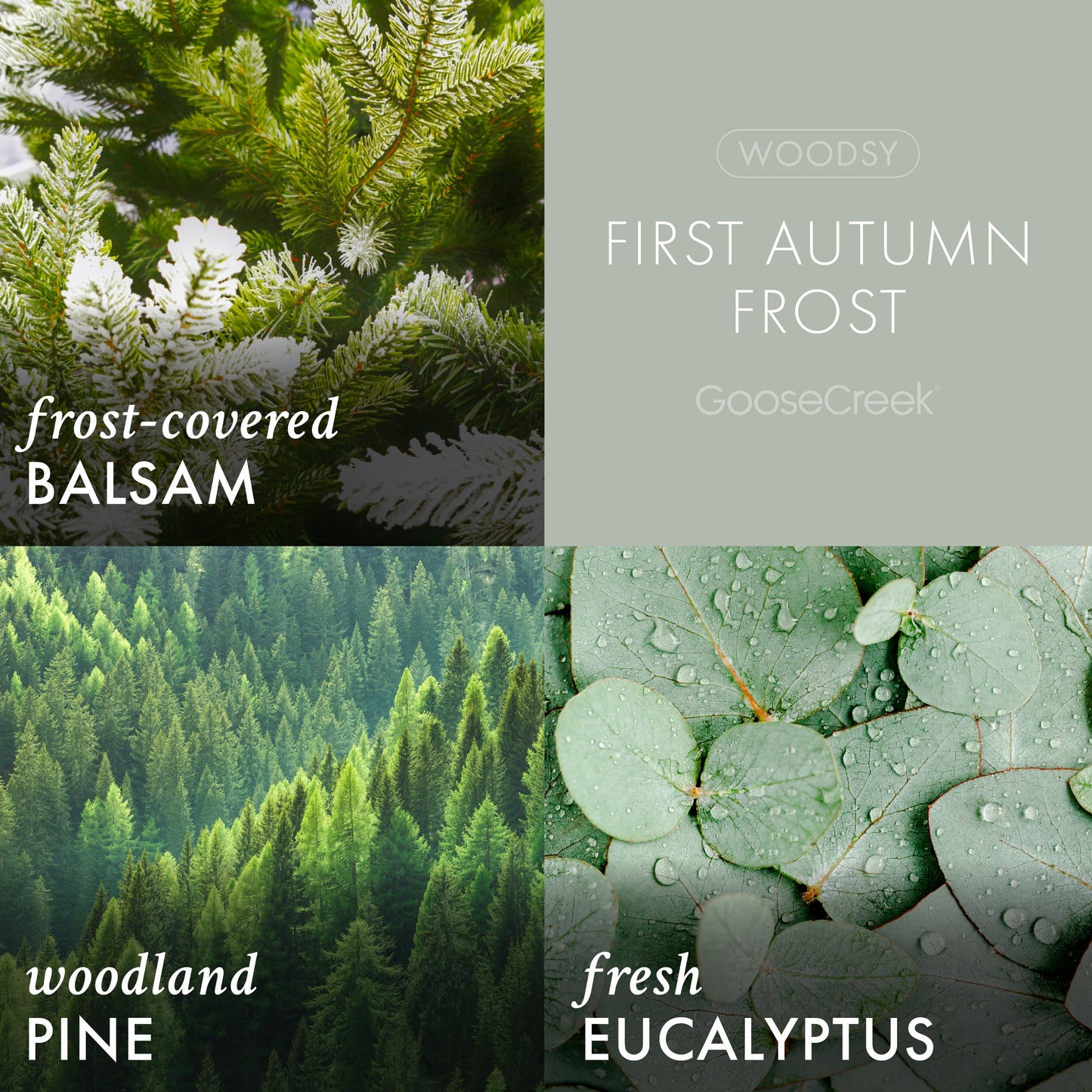 First Autumn Frost 3-Wick Candle