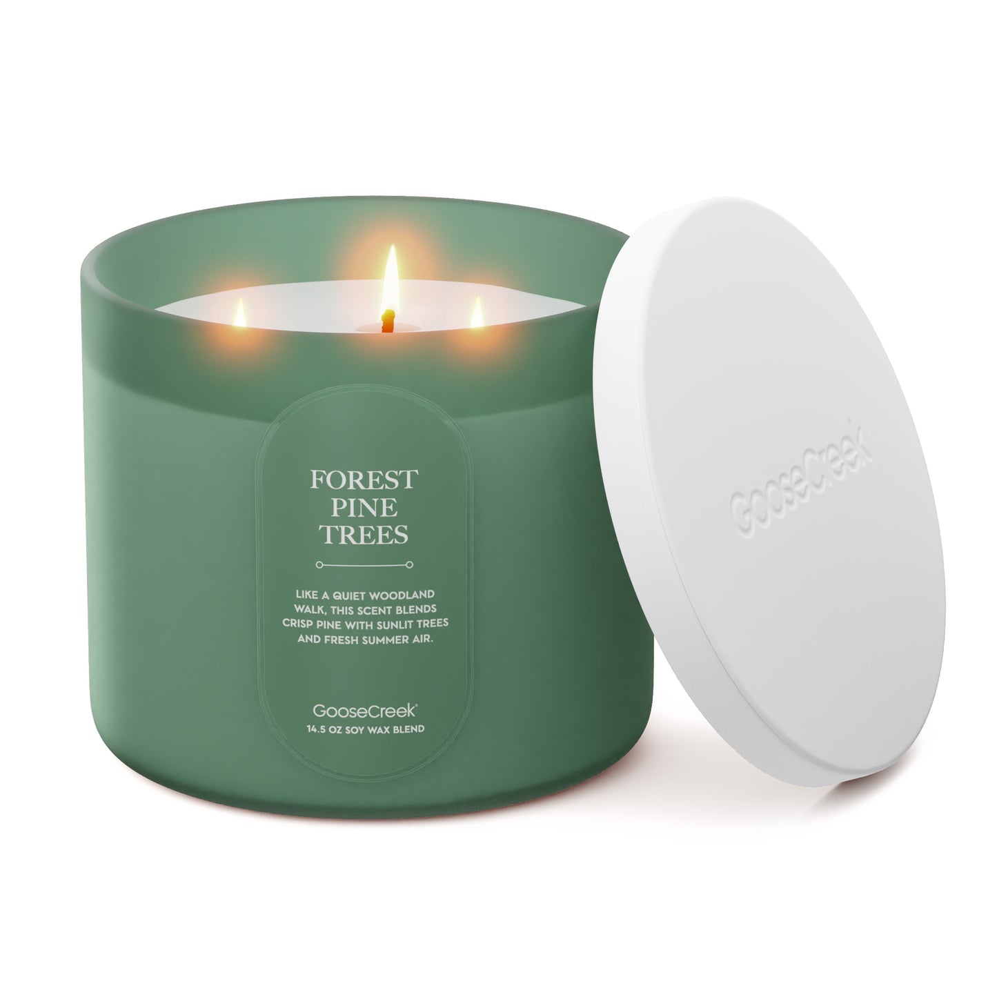 Forest Pine Trees 3-Wick Candle