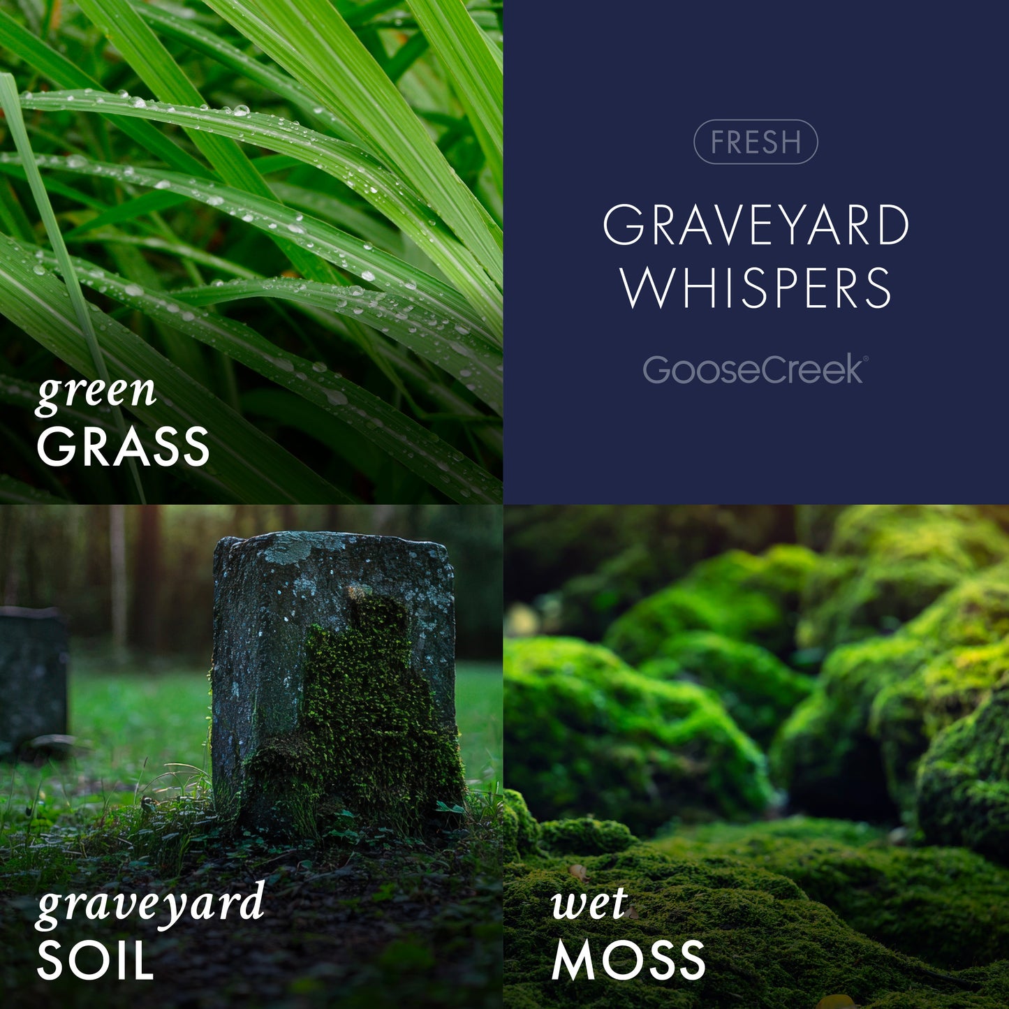 Graveyard Whispers 3-Wick Scooby-Doo Candle