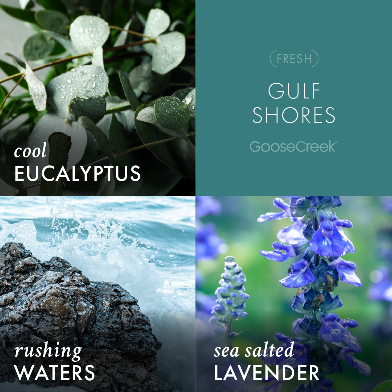 Gulf Shores 3-Wick Candle