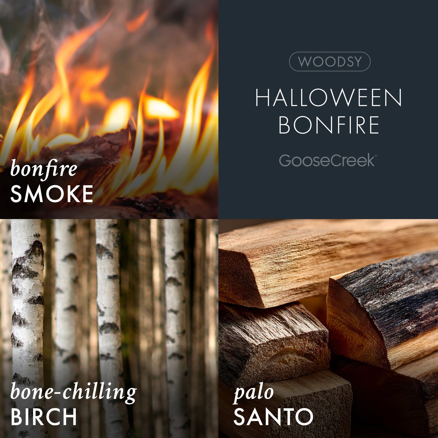 Halloween Bonfire 3-Wick Candle