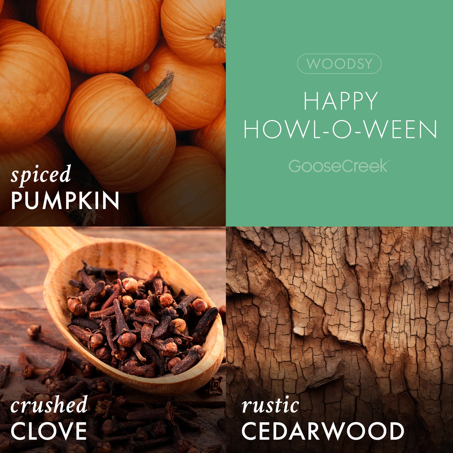 Happy Howl-O-Ween 3-Wick Peanuts Candle