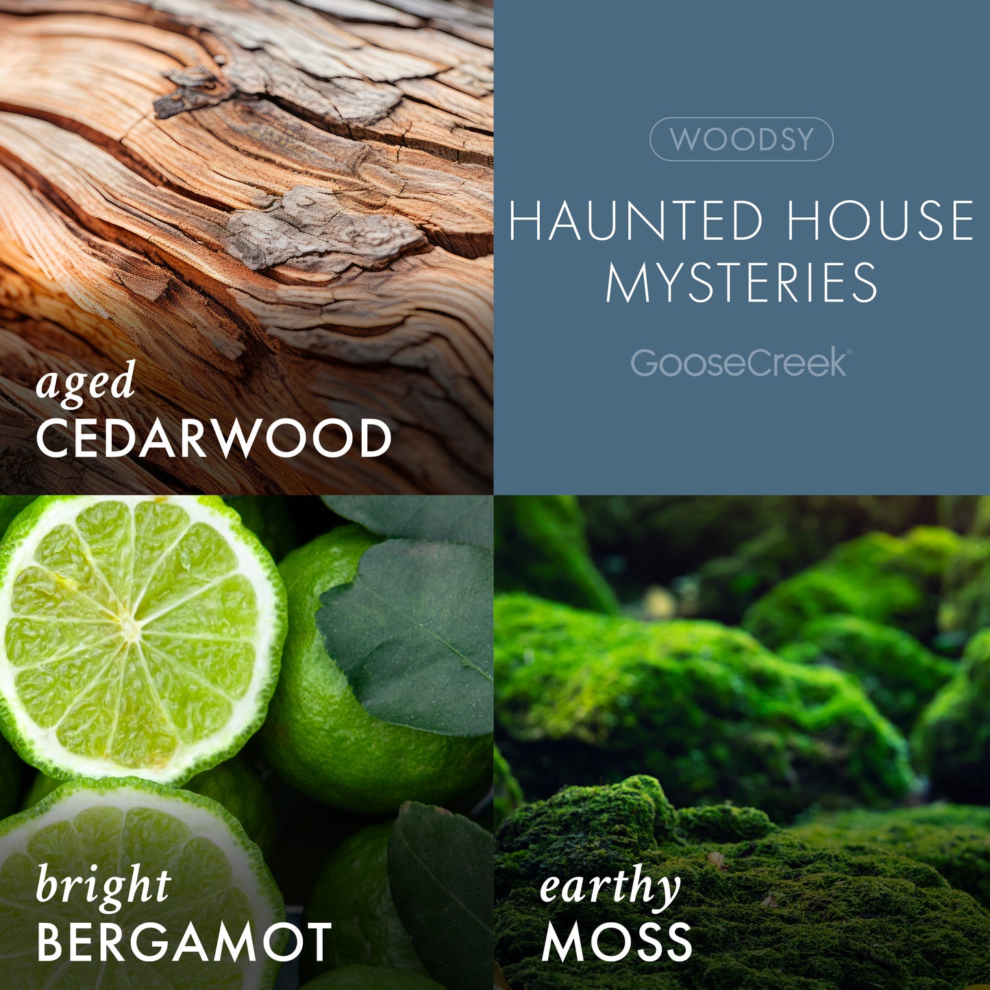 Haunted House Mysteries 3-Wick Scooby-Doo Candle