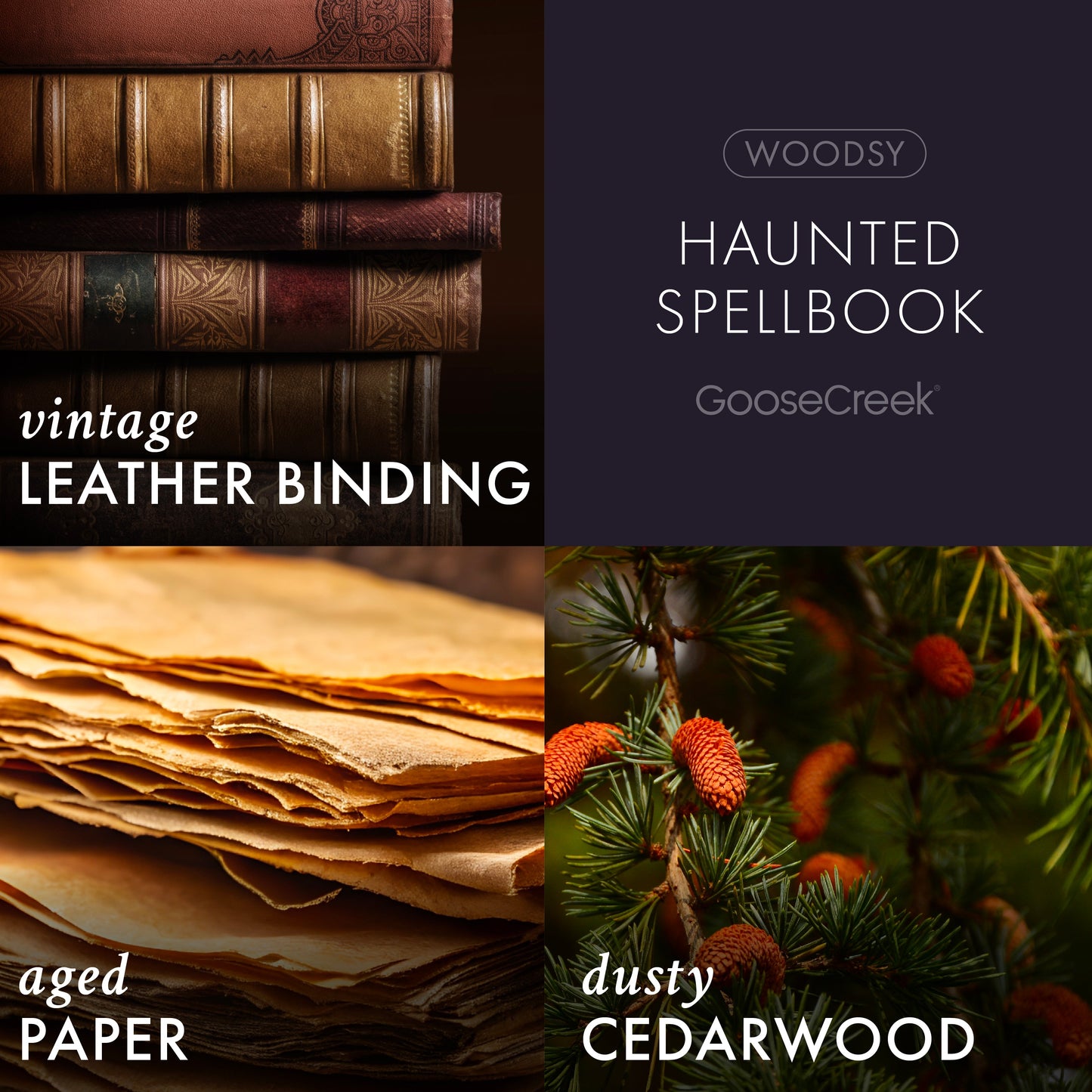 Haunted Spellbook 3-Wick Candle