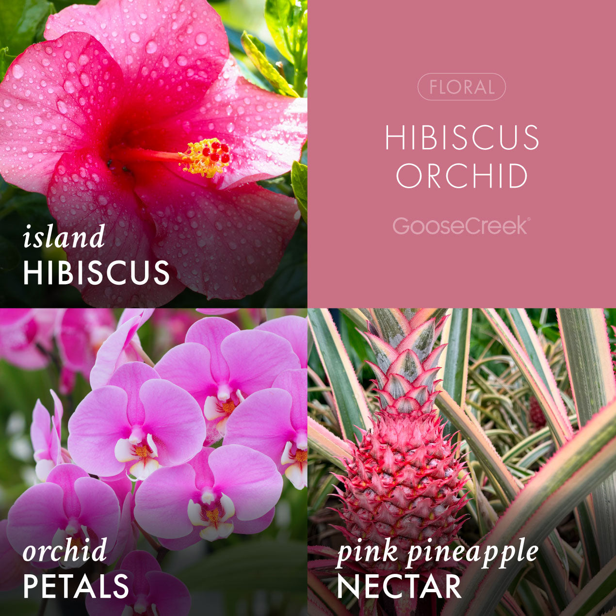 Hibiscus Orchid 3-Wick Candle