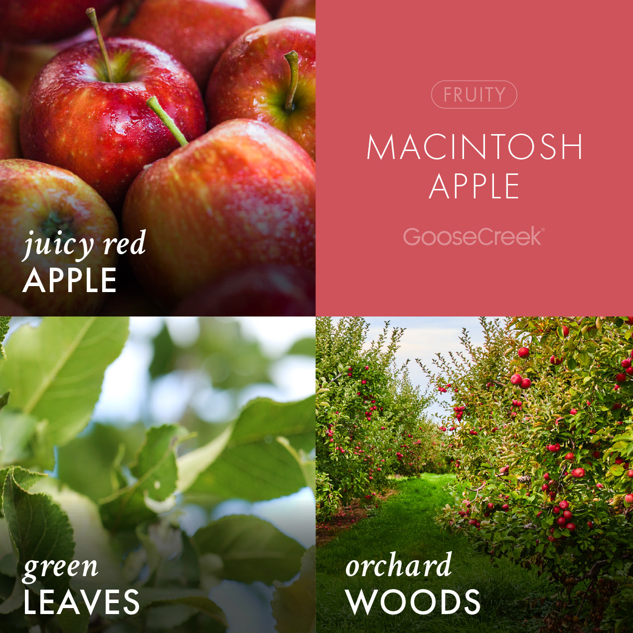 Macintosh Apple Room Spray