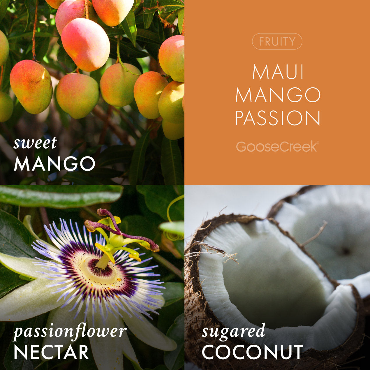 Maui Mango Passion 3-Wick Candle