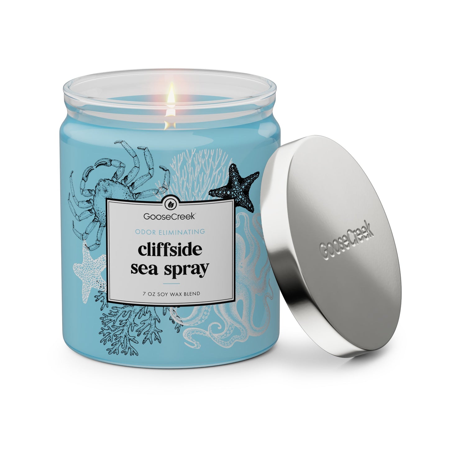 Odor Eliminating Cliffside Sea Spray 7oz Single Wick Candle