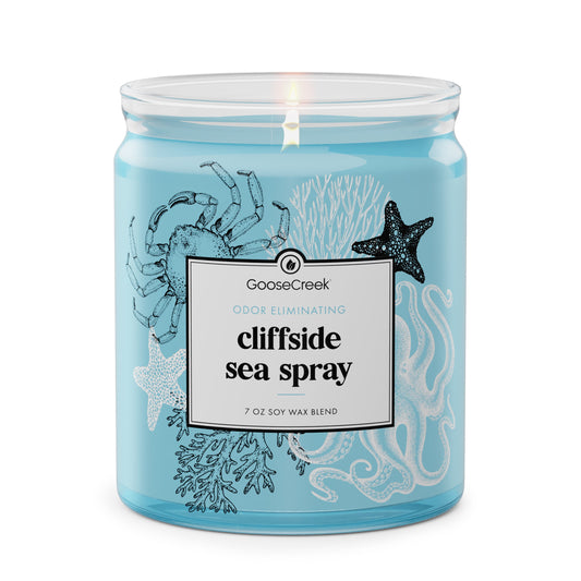 Odor Eliminating Cliffside Sea Spray 7oz Single Wick Candle