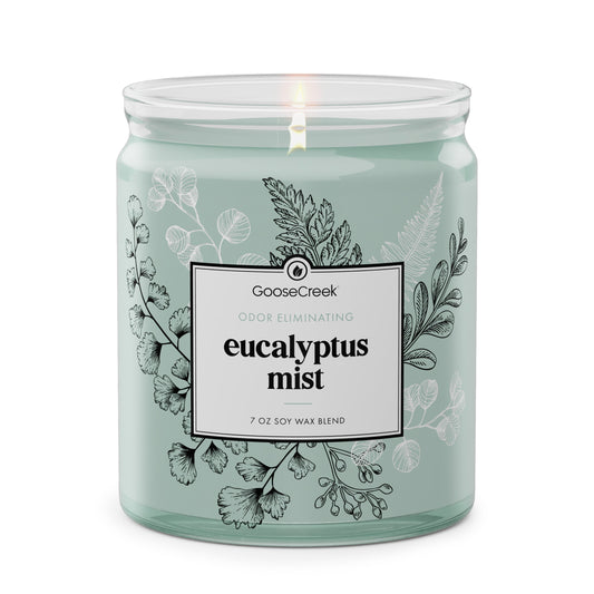 Odor Eliminating Eucalyptus Mist 7oz Single Wick Candle