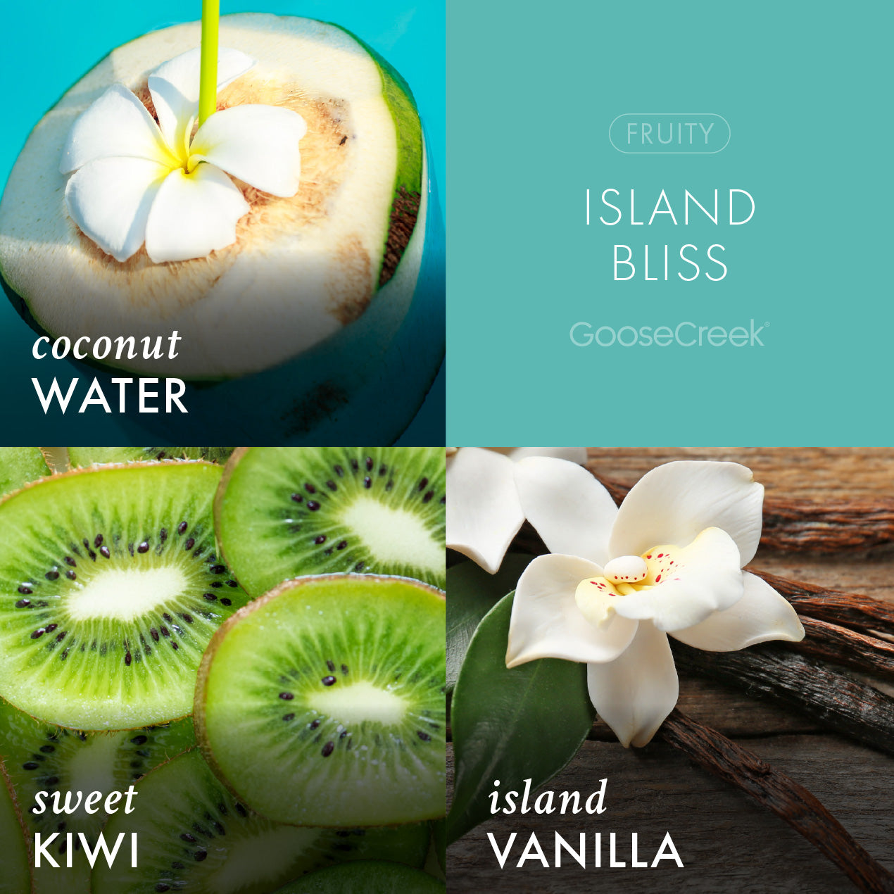 Odor Eliminating Island Bliss Wax Melt