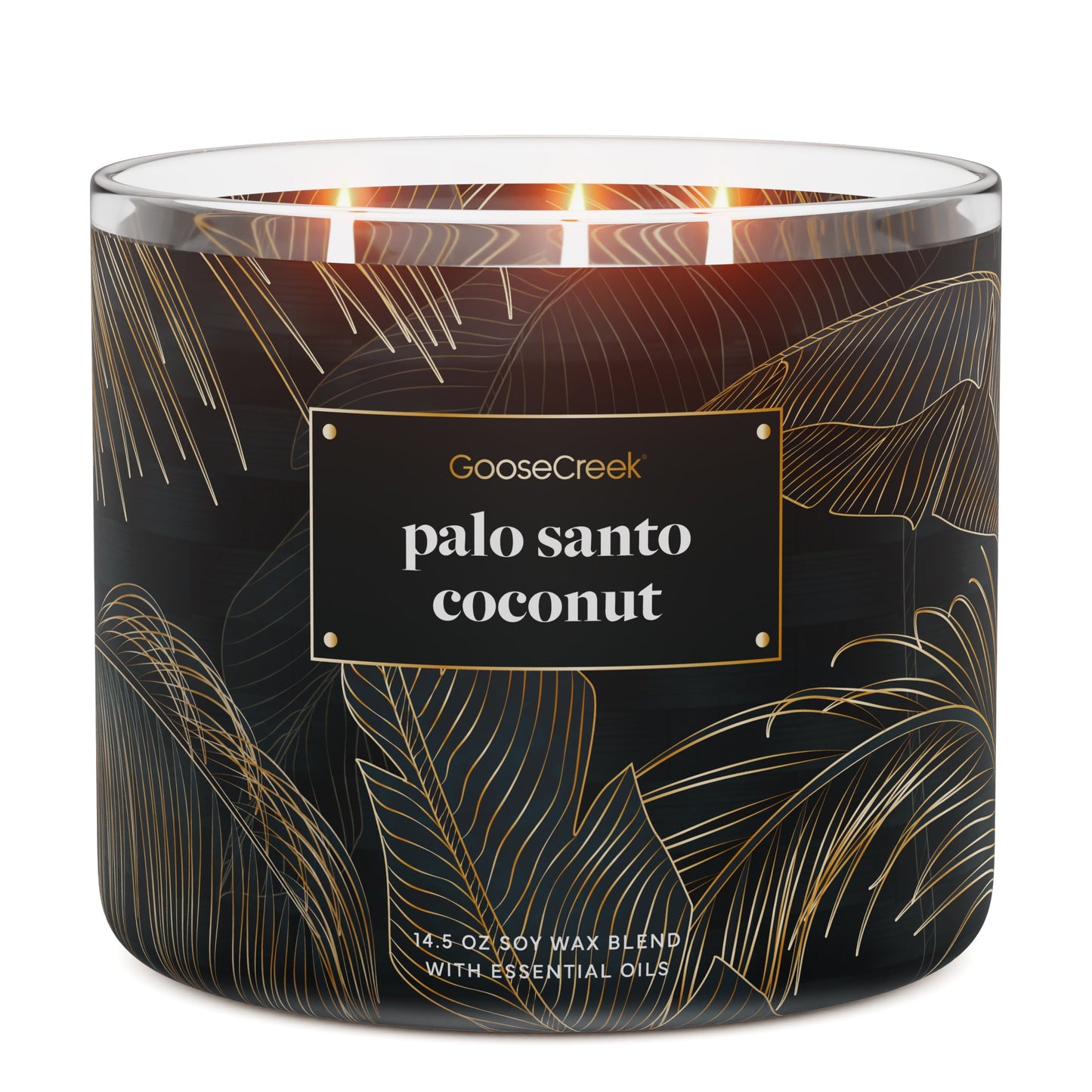 Palo Santo Coconut 3-Wick Candle