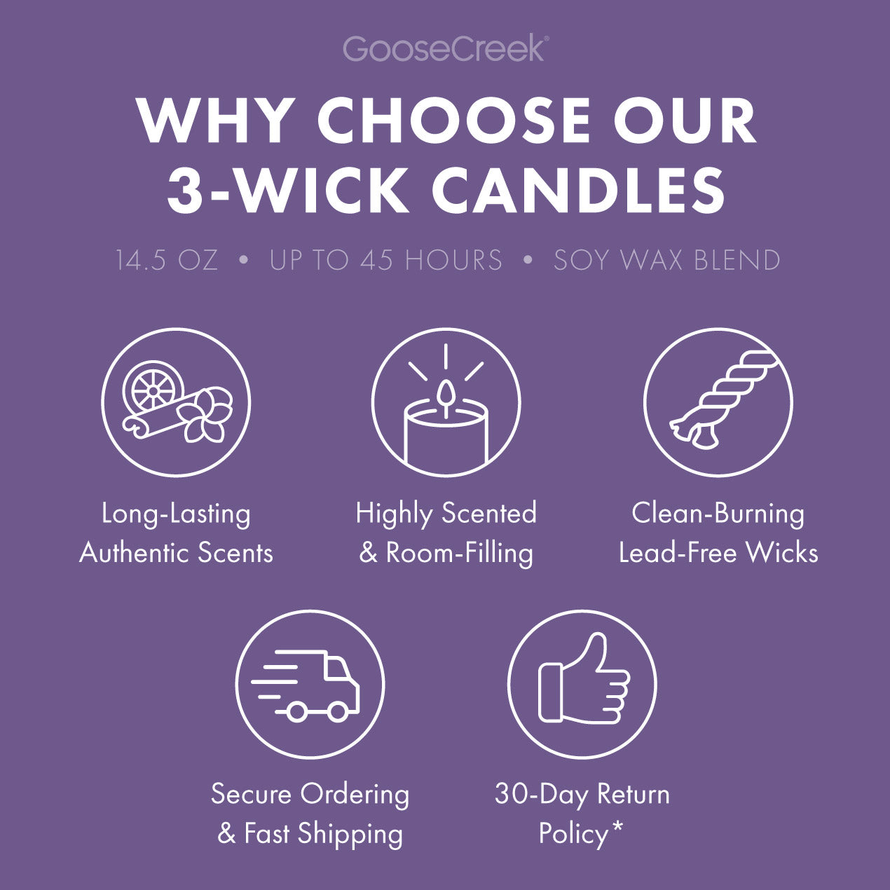 Sandy Cheeks 3-Wick Candle