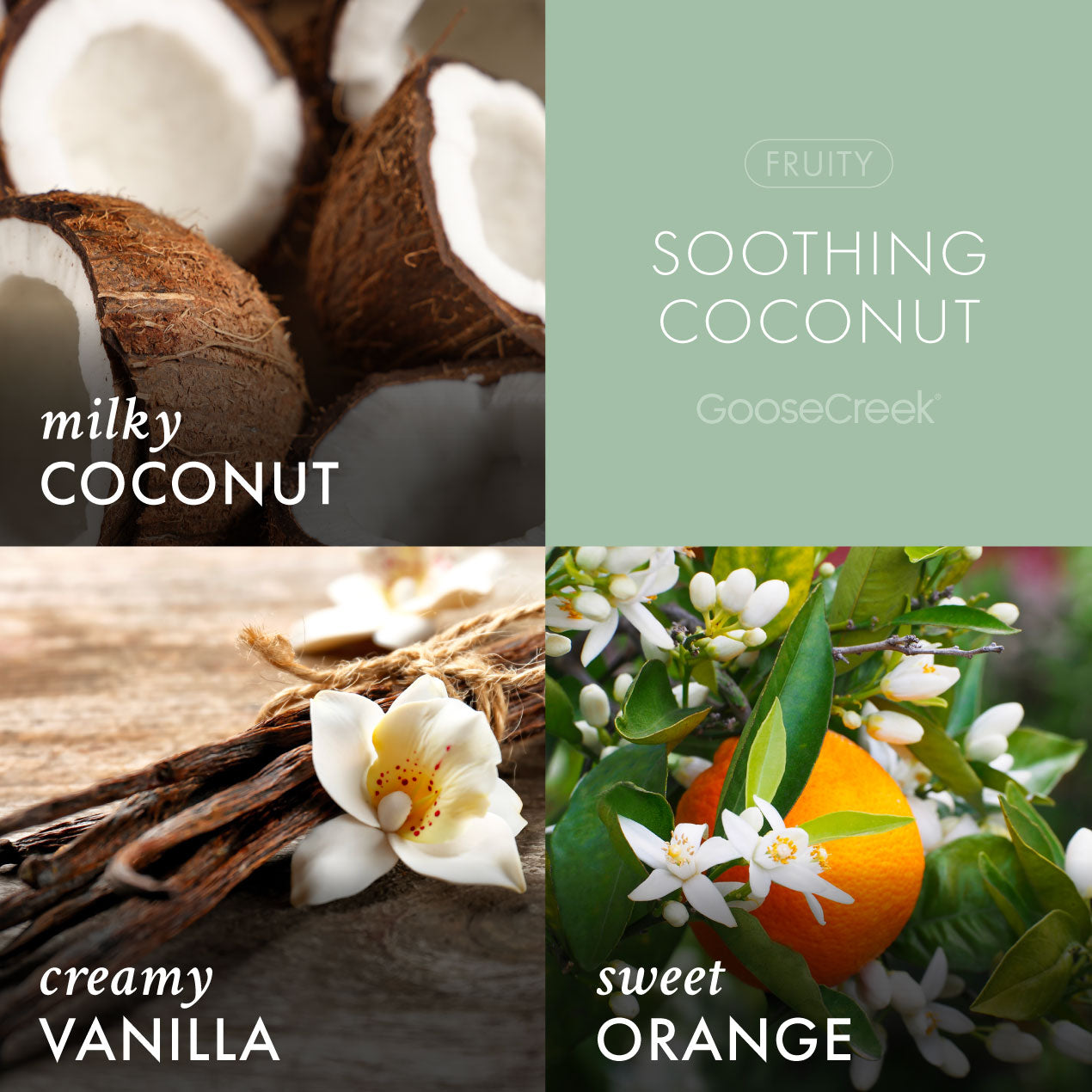 Soothing Coconut 3-Wick Candle