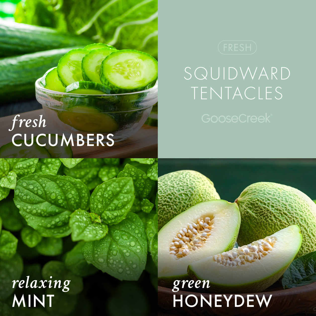 Squidward Tentacles 3-Wick Candle