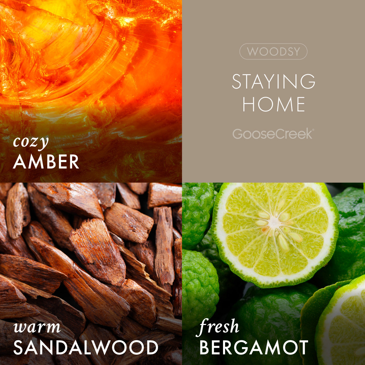 Staying Home Plug-In & Refill Bundle