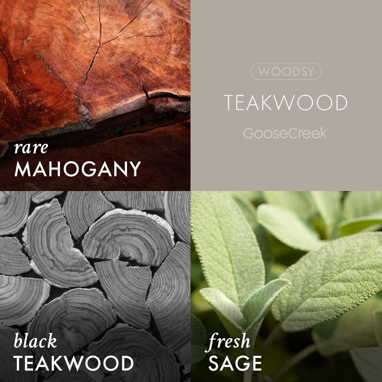 Teakwood Plug-In & Refill Bundle