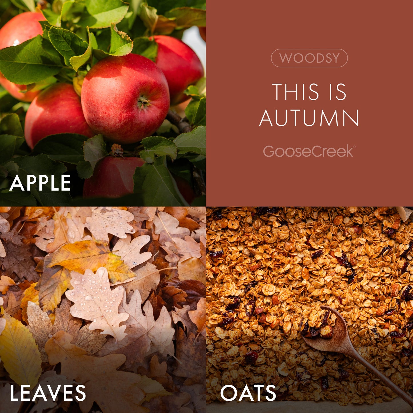 This is Autumn 3-Wick Candle