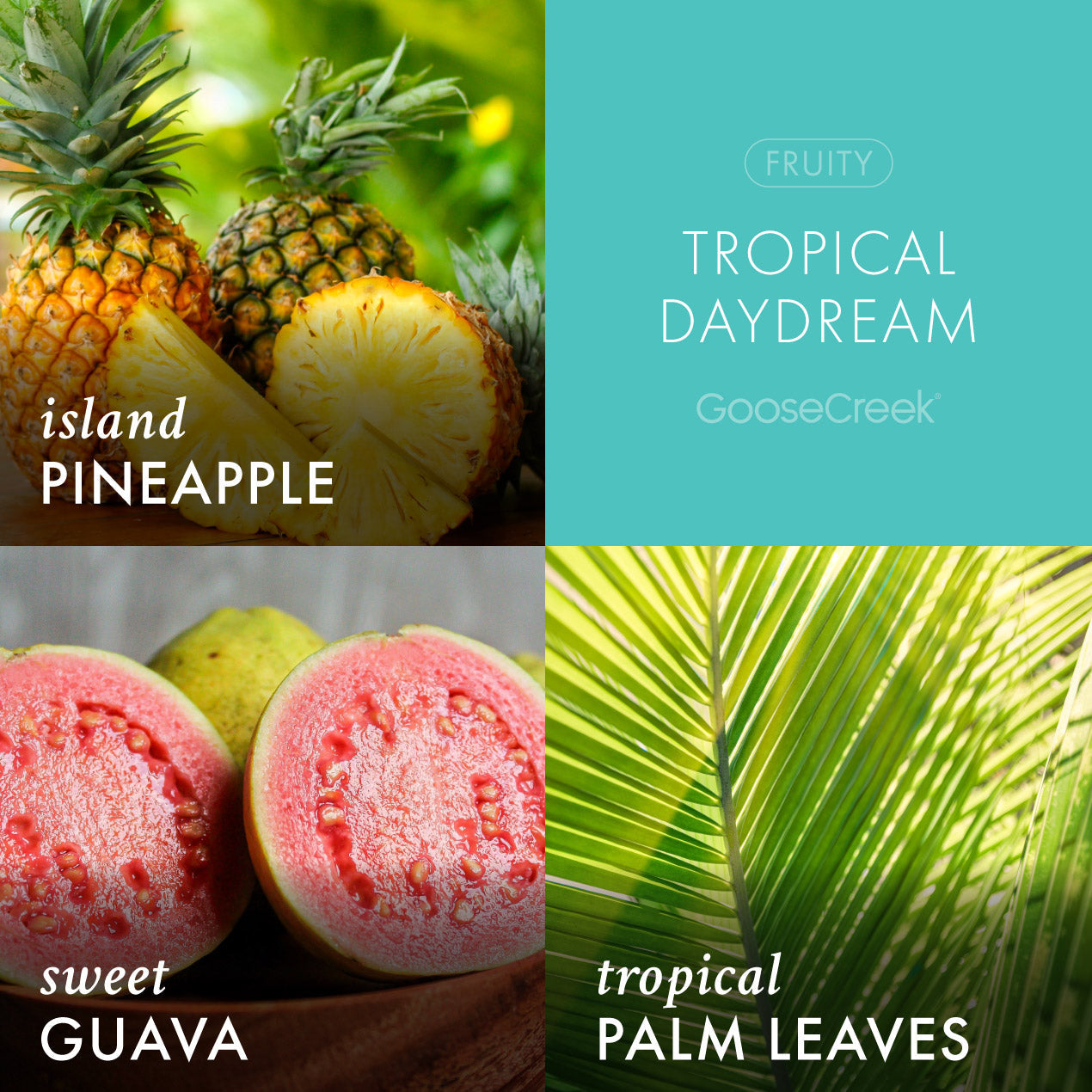 Tropical Daydream 3-Wick Candle