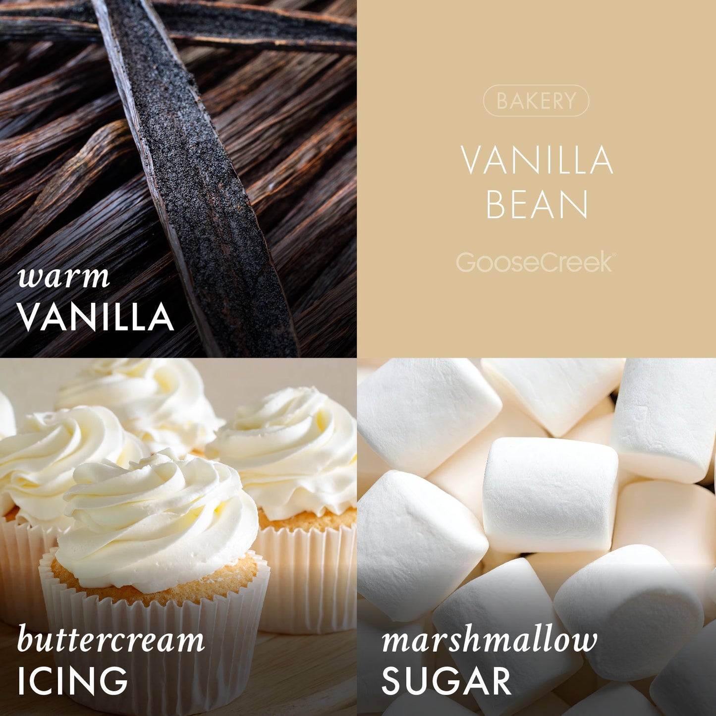 Vanilla Bean 3-Wick Candle