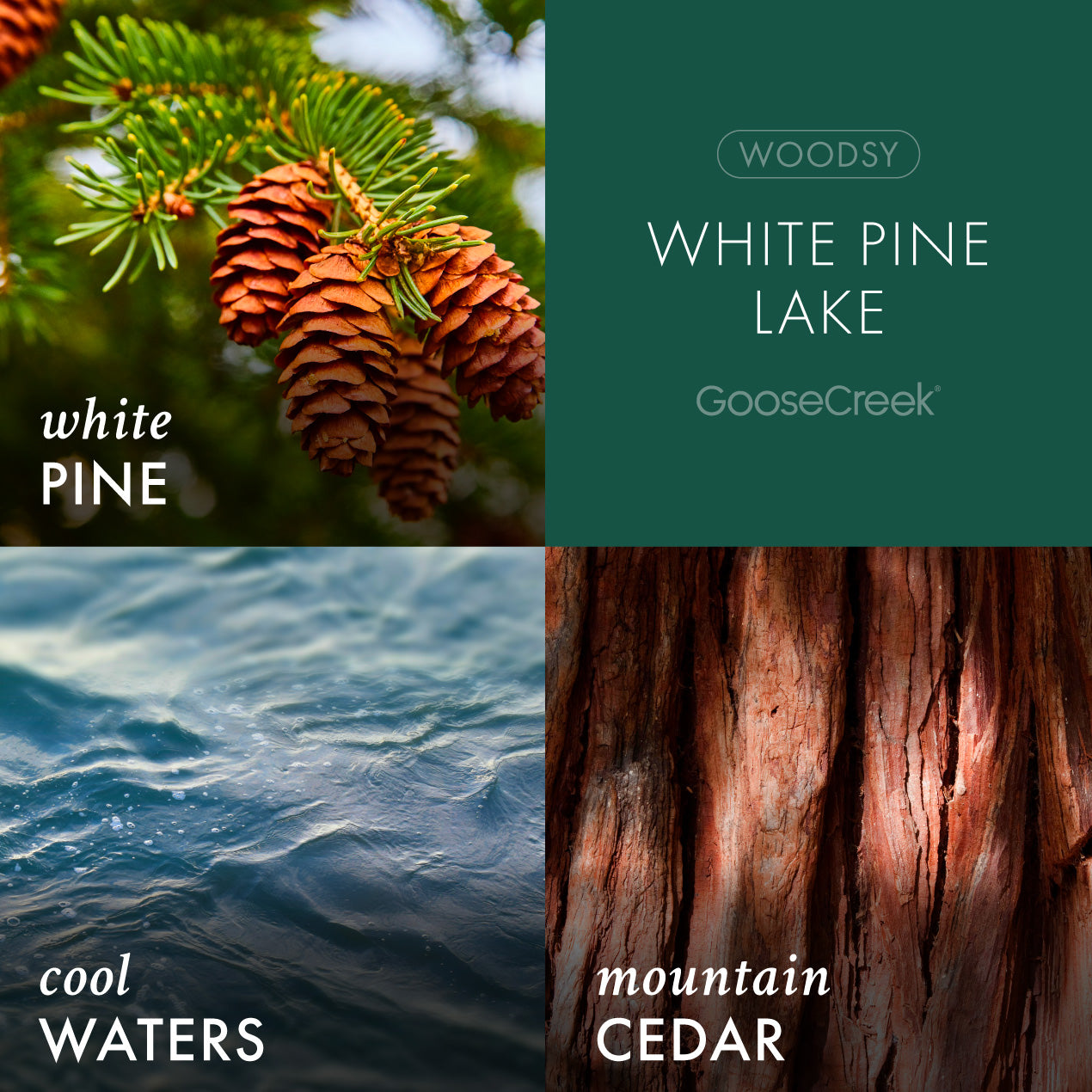 White Pine Lake Plug-In & Refill Bundle