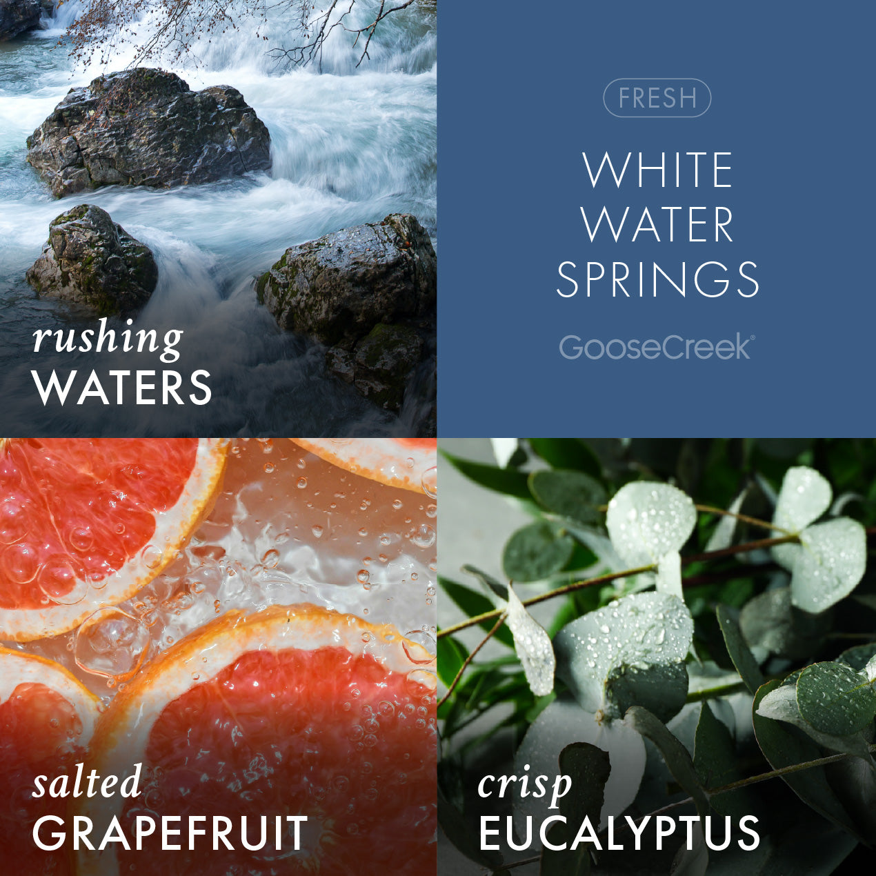 White Water Springs Lush Foaming Hand Soap